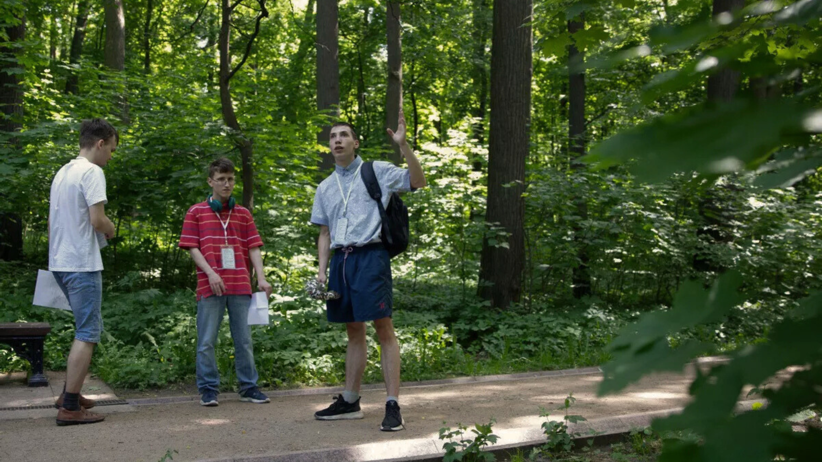 Зелёная терапия